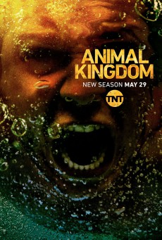 Animal Kingdom Season 3